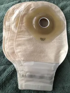 Item thumbnail for item 925fd412-8e09-4274-b7e0-1c4335d2b801