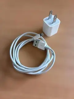 Apple 充電器 Lightningケーブル セット