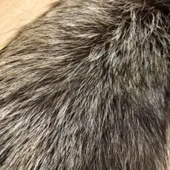 フォックスファー　ショール　成人式　結婚式　着物【激安SALE！】