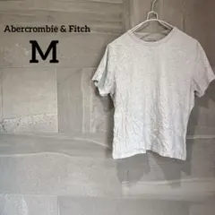 Abercrombie & Fitch 【M】Tシャツ ライトグレー 半袖