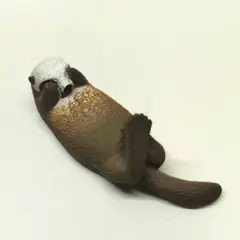 ZOO ZOO ZOO 第6弾 みないで寝 ラッコ