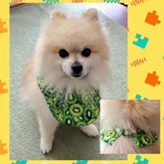 リオくんママ様専用　ひんやりケープ　Ｌサイズ