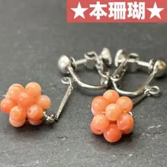 ★本珊瑚★ 国産珊瑚使用　イヤリング　天然　アンティーク　桃色
