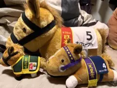 サラブレッドコレクション