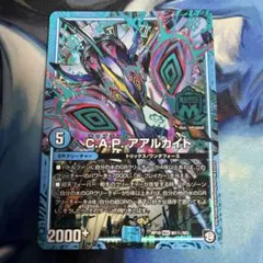 capアアルカイト　キャプテンアアルカイト　シク　シークレット