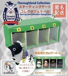 Thoroughbred Collection Storage Case