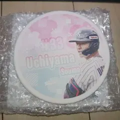 Item thumbnail for item f74c6aa4-8d46-47b2-bc0d-55973aa48887