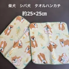 Item thumbnail for item 51233de4-1aac-4bdb-b1a6-46f537787f73