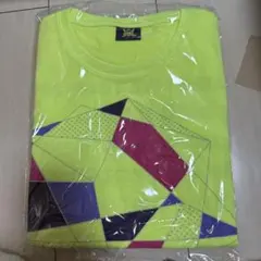 Item thumbnail for item ba38b48d-ef1e-4d1e-8a01-20c0a7ccf89a