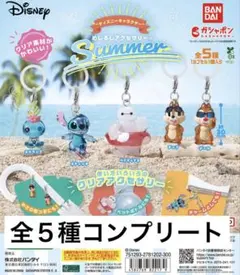 ディズニーめじるしアクセサリー SUMMER