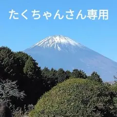 たくちゃんさん専用迷彩柄グレー