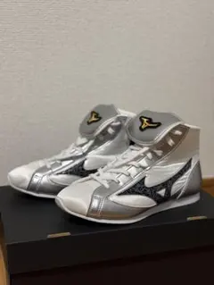 Item thumbnail for item 859fd4d1-d438-4372-b1da-4052af55bbe2