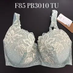 2026年最新】ワコール レシアージュ f85の人気アイテム - メルカリ