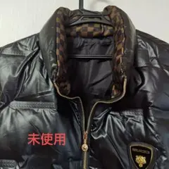 2026年最新】FRANKLIN musk ダウンの人気アイテム - メルカリ