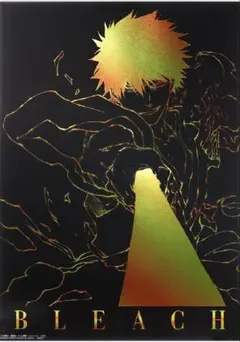 BLEACH 黒崎一護 クリアポスター