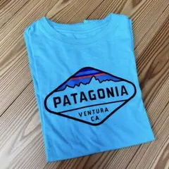 Patagonia パタゴニア Tシャツ