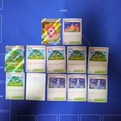 スペシャルレッドカードSR　活力の森SR　汎用セット