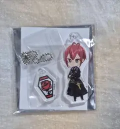ツイステッドワンダーランド リドル アクキー ツイステ