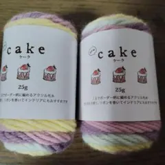 匿名配送　NEWケーク　 アクリル毛糸2玉　新品未使用