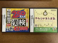 NINTENDO DS ソフト やわらかあたま塾 漢検