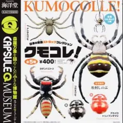 OTK様 リクエスト 2点 まとめ商品