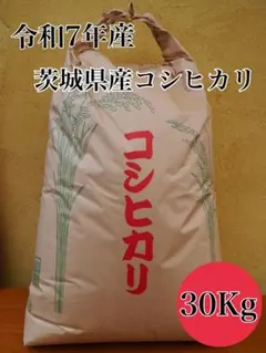 令和7年産茨城県産 コシヒカリ 30kg - メルカリ