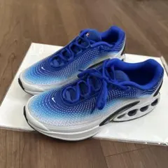 NIKE Air Max Dn 青/白 スニーカー