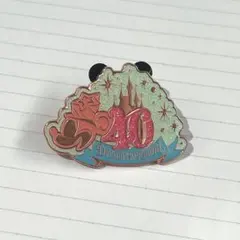 ディズニー40周年 ピンバッジ