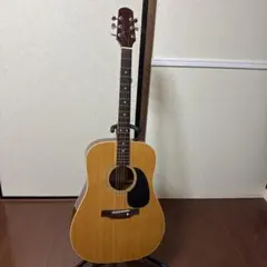 Walden DX3103 アコースティックギター スタンド付き