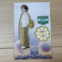 木村慧人 アクリルスタンド アクスタ FANTASTICS SUN FLOWER