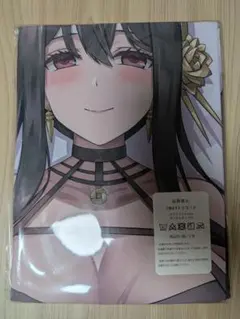 2wayトリコット　抱き枕カバー　407