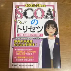 公務員過去問解きまくり！2024-25年度版 17巻セット➕SCOAのトリセツ 2027年版 SCOAのトリセツ - メルカリ