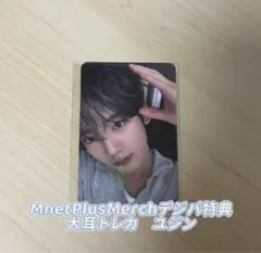 ZB1 MnetPlusMerch 犬耳トレカ　ユジン