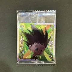 最新7弾 HUNTER×HUNTER シールウエハース SRゴン