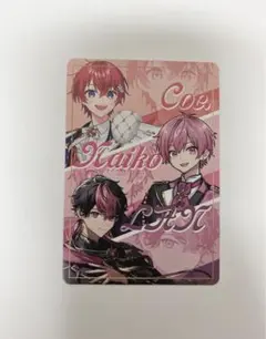 VOISINGチップス カード ないこ、Coe.、LAN