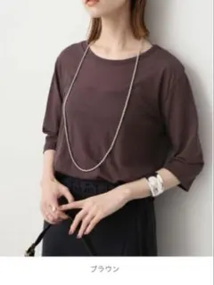 SLOBE IENA スローブイエナ　 シアー天竺5分袖TEE ブラウン