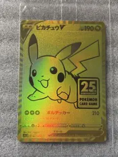 【外箱付き】ゴールデンボックス　サプライセット ゴールデンボックス サプライ