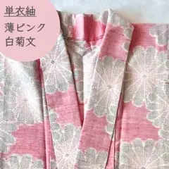 単衣 紬 大輪白菊 菊文様 ピンク 正絹 通好み逸品 大人可愛いトールサイズ