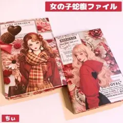 おすそ分け蛇腹ファイル コラージュファイル 女の子 花 紙もの シール 収納