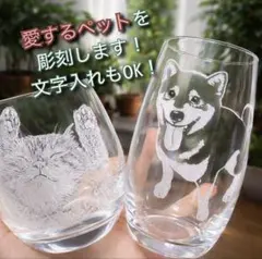 ペット　オーダーメイド　グラス　プレゼント　名入れ