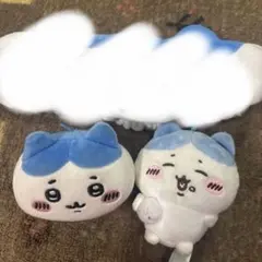 ハチワレまとめ売り