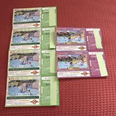 5枚 夏季利用可能 東京 サマーランド 1DAYパス 株主ご招待券 メルカリ 