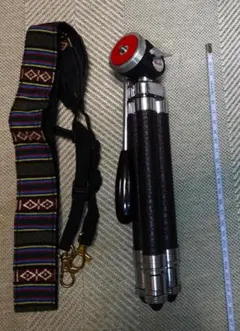 Item thumbnail for item 52397a01-780e-481c-82f9-524ae53e2d93