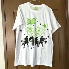 【即購入⭕️】GReeeeN gre4nboyz グッズ　Tシャツ　XL