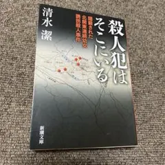 殺人犯はそこにいる 隠蔽された北関東連続幼女誘拐殺人事件