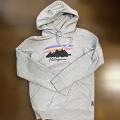 Patagonia グレー フード付きパーカーのサムネイル