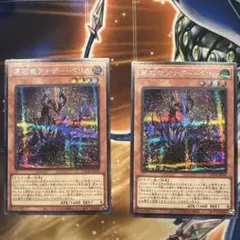 アナザーベリル シークレット 2枚セット