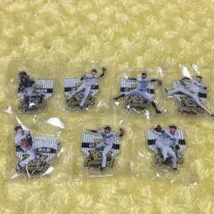 阪神タイガース大好き子様専用 阪神タイガースアクスタ