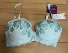 トリンプ　ブラジャー D65