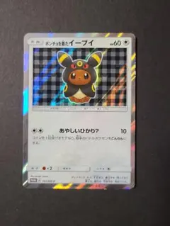 2025年最新】ポンチョを着たイーブイの人気アイテム - メルカリ